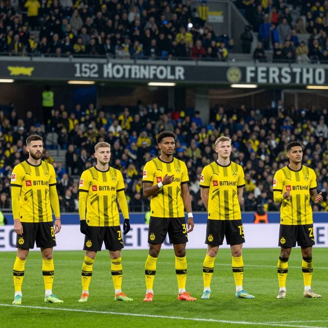 Hoffenheim vs Dortmund: Đội Hình Dự Kiến & Khát Vọng World Cup 2026
